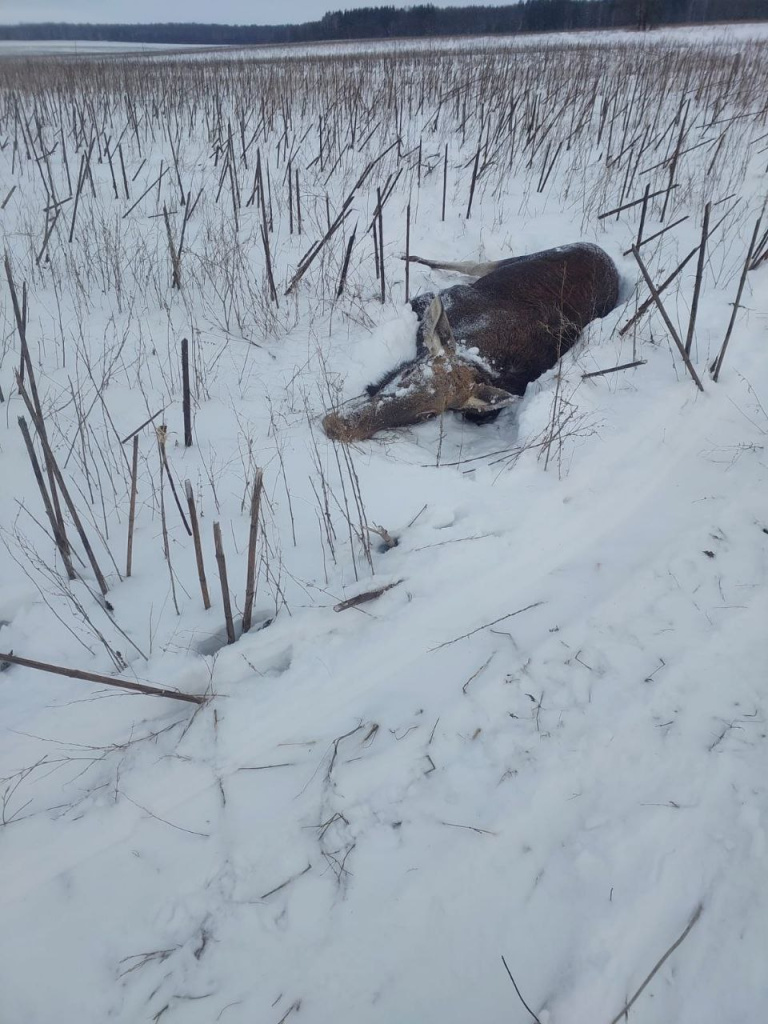 IMG_20260104_200727_212.jpg IMG_20260104_200727_212.jpg