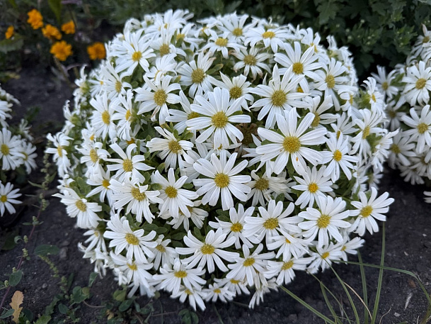 Свияга: порядок на берегу можно навести не запретами, а ответственным использованием