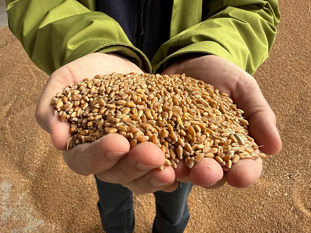 Простые субсидии, сельские кадры и меньше бумажной работы: позиция Алексея Якушева по развитию фермерства