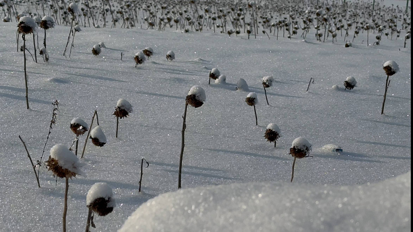 Деньги «пахнут мертвечиной» или пашто в Ульяновске покойников «распродают»