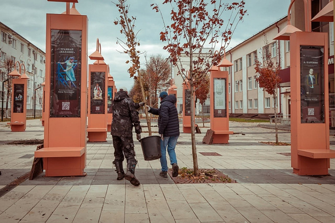Новые клены у Драмтеатра высадили вовремя