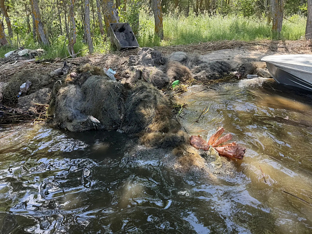 Старомайнский залив в опасности: активисты очищают водоём от браконьерских сетей ﻿